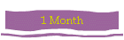 1 Month