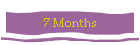 7 Months